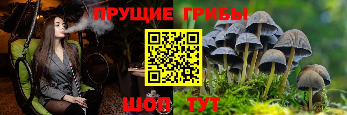 Ейск  Псилоцибиновые грибы мицелий  Галлюциногенные грибы прущие грибы  Вход с VPN 